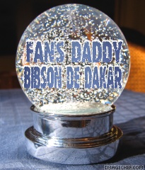 fans daddy bibson